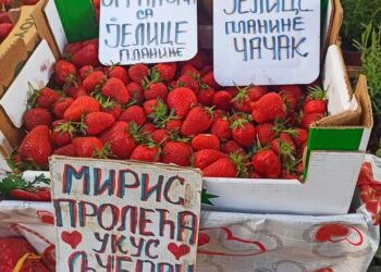 СРБИЈА РАЈСКА БАШТА