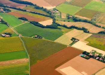 СРБИЈА ГУБИ ДРАГОЦЕНО ПОЉОПРИВРЕДНО ЗЕМЉИШТЕ: Зашто је наша храна у опасности?