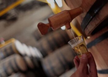 Rakija, Srpski eliksir duše i tradicije