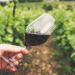 Sremski Karlovci mesto gde vino ima dušu, a čaša nosi priču