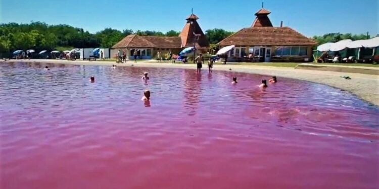 Pačir banja, roze čudo Bačke koje privlači hiljade turista