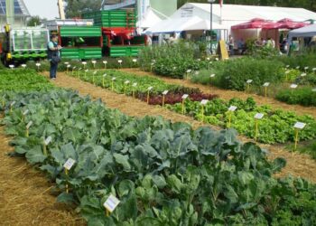 Posebna čast: Dani Srbije na sajmu poljoprivrede u Sloveniji