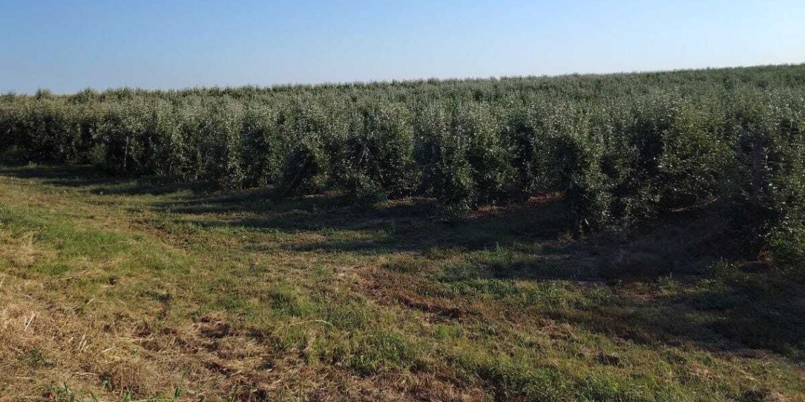 Pokrajina ulaže u mlade poljoprivrednike: 100 miliona dinara za budućnost sela