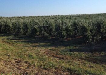 Pokrajina ulaže u mlade poljoprivrednike: 100 miliona dinara za budućnost sela