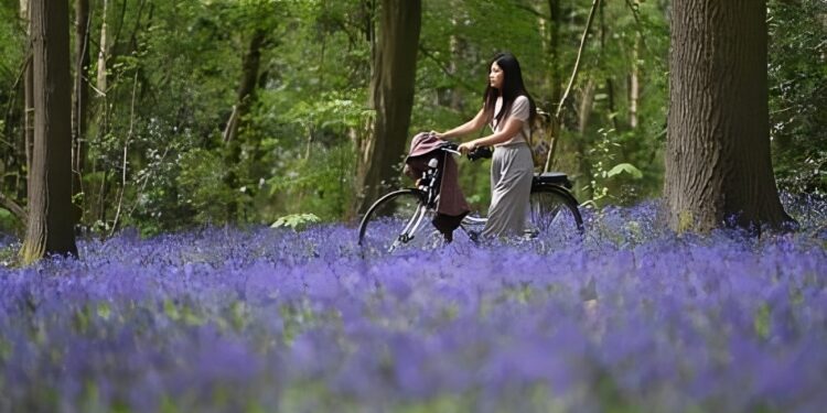 Grad bez gužvi – pridružite se danu bez automobila