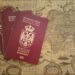 Otadžbina ili EU? Srbi i dvojno državljanstvo – gde može, a gde ne