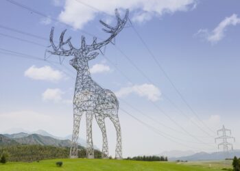 Austrijski dalekovodi u obliku životinja: umetnost ili luksuz?