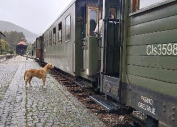Nostalgija kroz planine: Šarganska osmica, voz koji putuje kroz vreme