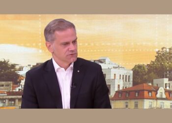 Napad na Srbe u Austriji: Borko Stefanović stigmatizuje dijasporu