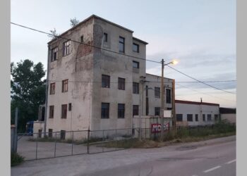 Prva fabrika kvasca u Srbiji – vizionarski poduhvat Mijata Lukića u Ostružnici