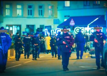 Građani šokirani: Policija dugim cevima obezbeđivala miran skup u Beču