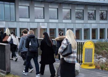 Studije novinarstva u Stokholmu pauziraju upis zbog „propusta“
