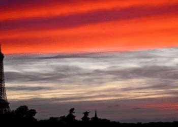 Skandal u Francuskoj: Funkcioner drogirao 240 žena diureticima