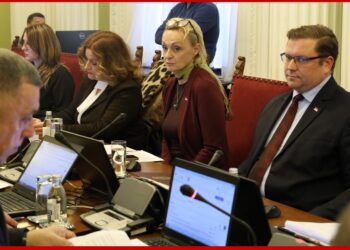 Vladimir Kokanović predstavlja novu fazu saradnje sa dijasporom