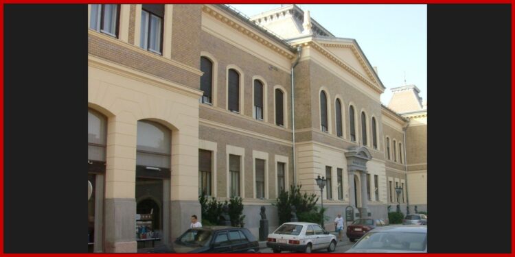 Šetnja Novim Sadom tragom Nušića, Vuka i kneginje Ljubice