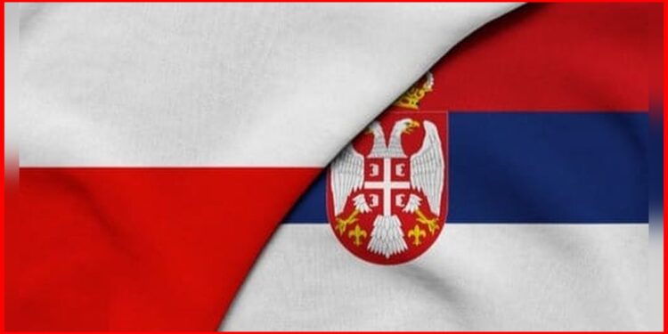 Od ustanaka do današnjih dana: Poljaci su vekovima sa nama!