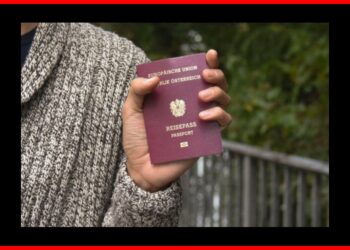 Kako do austrijskog državljanstva? Nove mere od sledeće godine