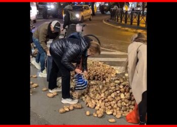 Krompir na ulicama Brisela: Posledice protesta poljoprivrednika