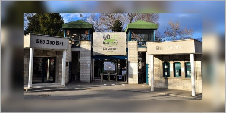 Prinova kao najava uspešne godine i kapitalnih ulaganja u Beo Zoo Vrtu