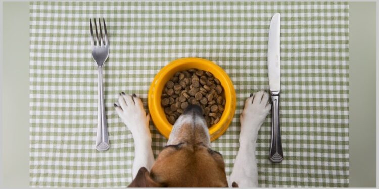 Tvoj ljubimac zagadjuje planetu!