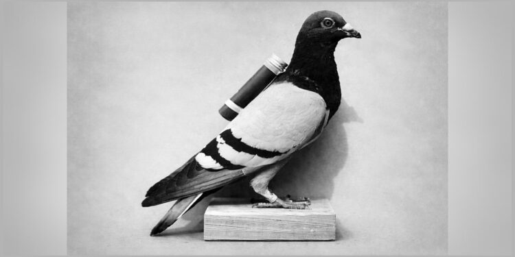 Zaboravljena moć pismonoša