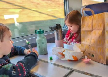 Francuska železnica zabranjuje decu u vagonima radi luksuza