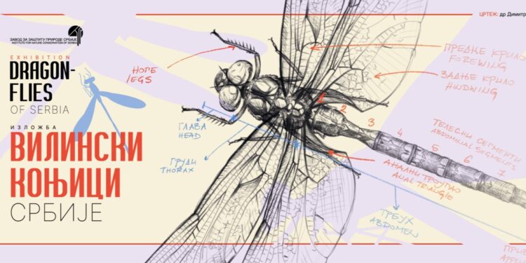 Od Kneževine do danas: Čuvari srpskih voda pred očima javnosti