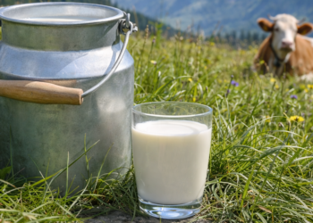 Industrija prevare: Nema više alpskog mleka u švajcarskim čokoladama