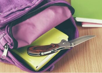 Profesorka izbodena u školi u Francuskoj, učenik (14) uhapšen