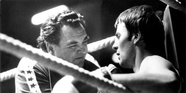 Tu noć pre 46 godina – Novi Sad je bio predgrađe Veternika