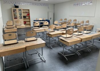 Austrijanac, đak: Jedini hrišćanin u razredu nazvan ,,svinja“