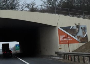 17.000 zečeva godišnje strada na austrijskim putevima