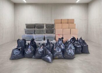 Nemac i Albanski duo pali sa tonom THC – a: Plantaža Kanabisa razbijena