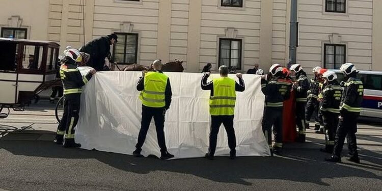 Građani Beča su besni: Tradicija fijakera postala čisto mučenje životinja