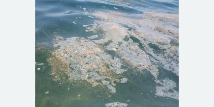 Hrvatska idilična razglednica: Jadran kao deponija za fekalije