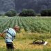 Srbija pamti bombardovanje: 27 godina od zločina bez kazne