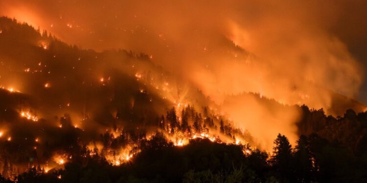 Pakao u Alpima: Požar progutao 35 hektara šume