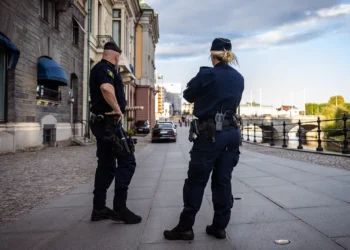 U Švedskoj vlada etnička diskriminacija: Policija i socijalne službe – rasisti!