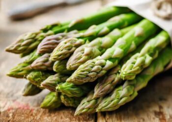 Proizvodnja špargle u Srbiji donosi 20.000 evra po hektaru