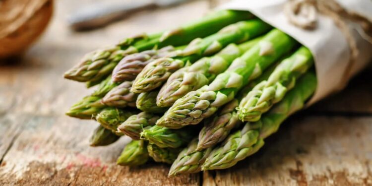 Proizvodnja špargle u Srbiji donosi 20.000 evra po hektaru