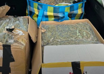 Holandija i dalje glavni izvor droge u Evropi: Zaplenjeno 31 kg marihuane vredno 300.000€