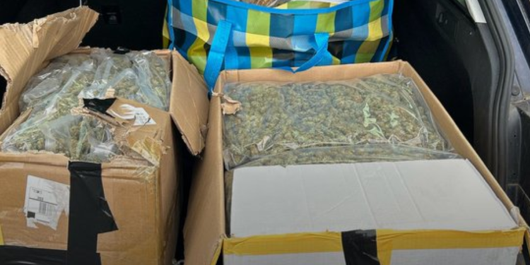 Holandija i dalje glavni izvor droge u Evropi: Zaplenjeno 31 kg marihuane vredno 300.000€