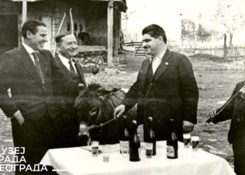 Dobitak na lutriji i magarac Conja