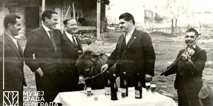 Dobitak na lutriji i magarac Conja