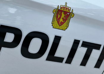 14-godišnjak vozio autobus 200 km sam do Švedske: Krađa vozila počinjena u Norveškoj