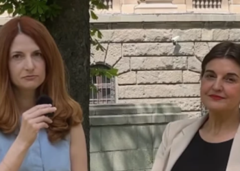 Momčilo Janjić: Mala stranka, veliki megafon – Kako evropske manjine drže lekcije Srbiji