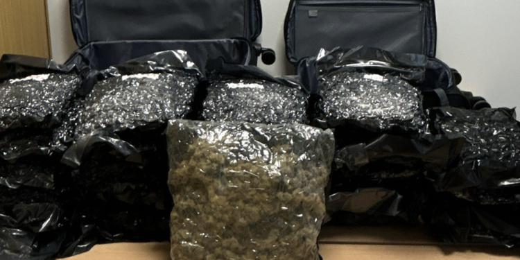 Švercovali drogu u igračkama, ulična vrednost 6 miliona evra: Zaplena u Austriji!