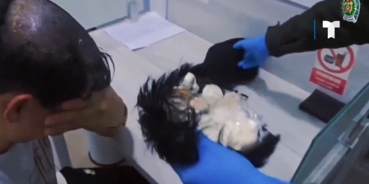 Propao let za Amsterdam: „Narko-šminker“ stavio 220 grama kokaina u periku