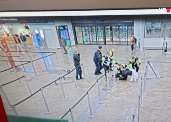 Drama u Beču: Napadač pokušao da otme napunjenu pušku policajcu na aerodromu!