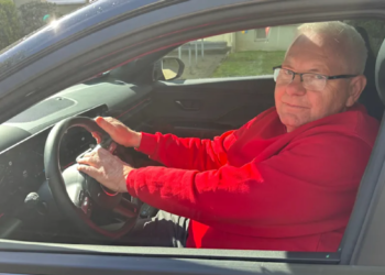 Spasavao mačku, pa dobio kaznu: Pravila jača od razuma u Nemačkoj